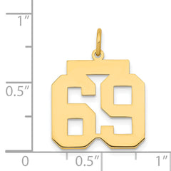 14K Gold Polished Number 69 Charm Medium Laser-Cut Themed Pendant