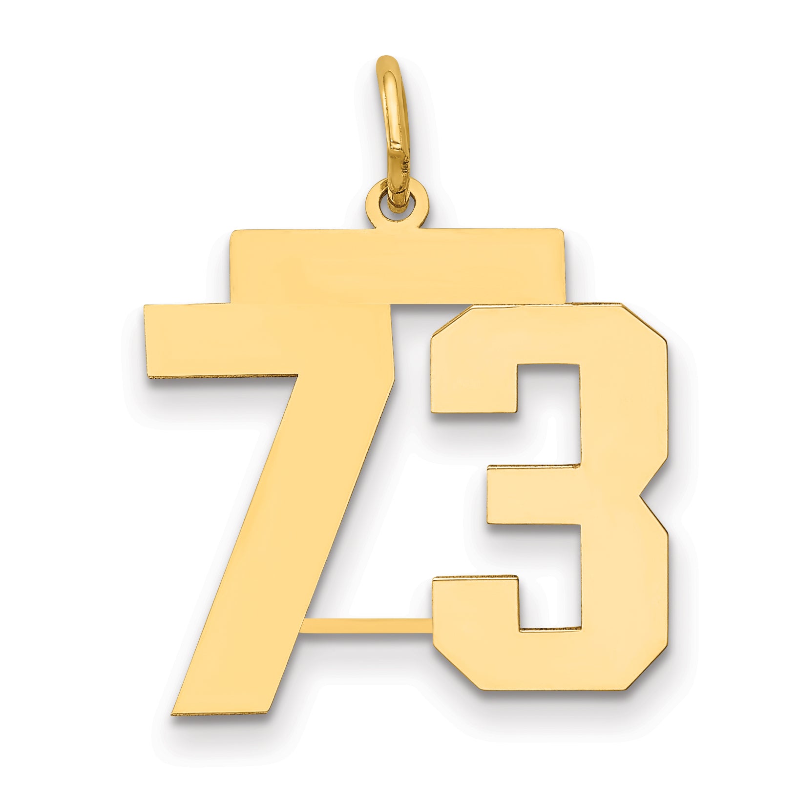 14k Medium Polished Number 73 Charm