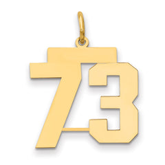 14k Medium Polished Number 73 Charm