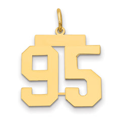 14k Medium Polished Number 95 Charm