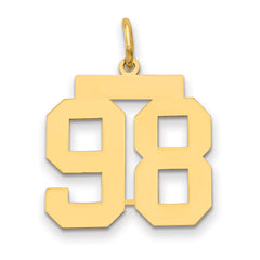 14k Medium Polished Number 98 Charm