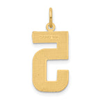 14k Large Brushed Diamond-cut Number 5 Charm