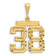 14k Large Brushed Diamond-cut Number 38 Charm