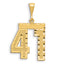 14k Large Brushed Diamond-cut Number 41 Charm
