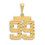14k Large Brushed Diamond-cut Number 99 Charm