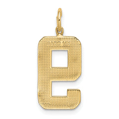 14k  Large Polished Number 9 Charm