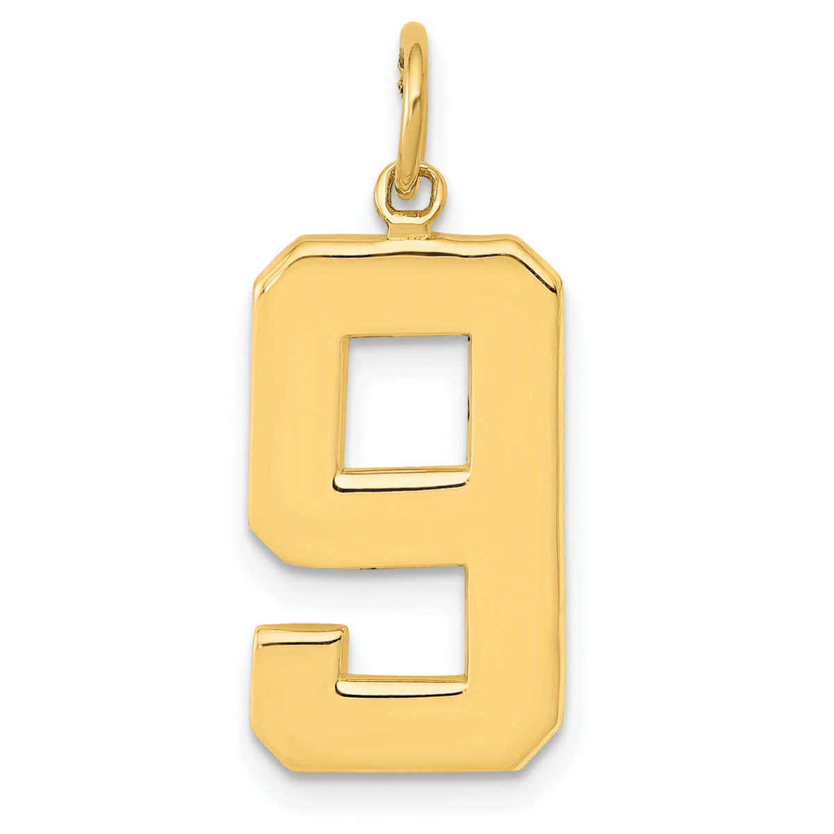 14k  Large Polished Number 9 Charm