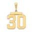 14k Large Polished Number 30 Charm