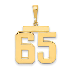 14k Large Polished Number 65 Charm