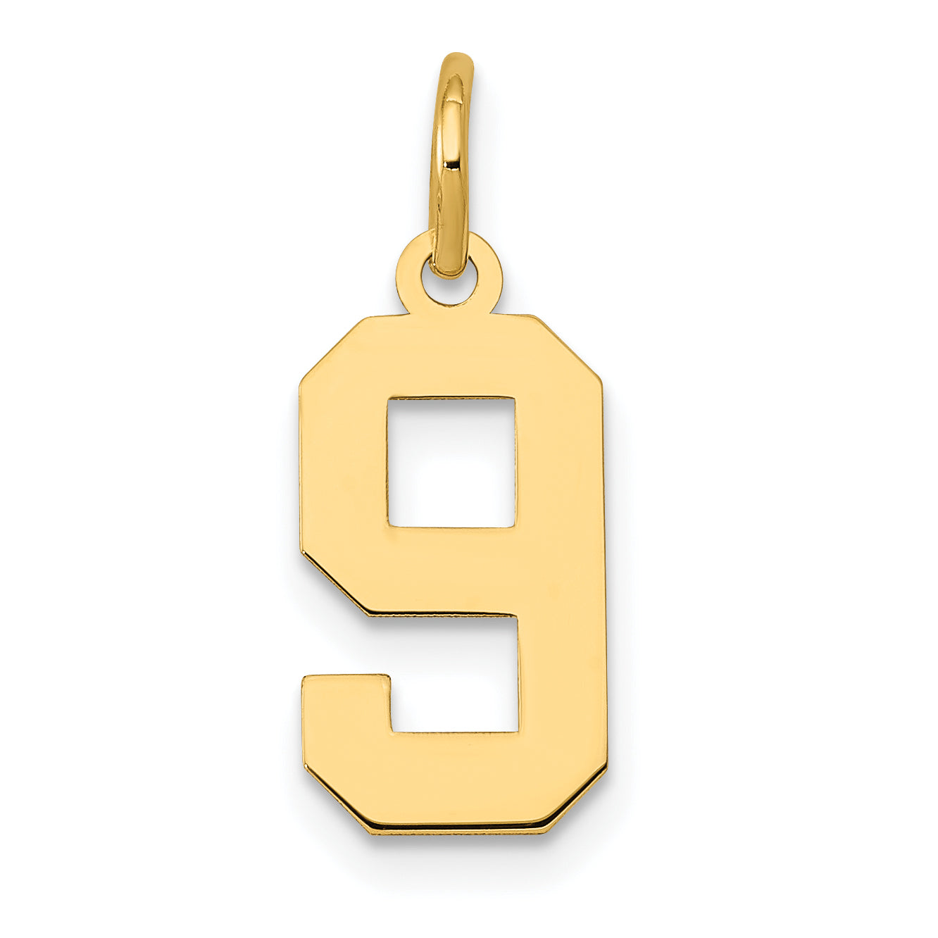 14k Small Polished Number 9 Charm Main image