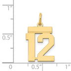 14K Gold Small Polished Number 12 Charm Elegant Laser-Cut Design