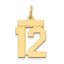 14k Small Polished Number 12 Charm