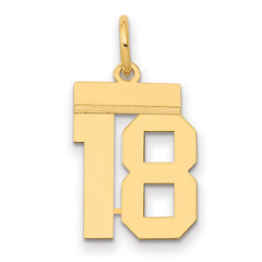 14k Small Polished Number 18 Charm