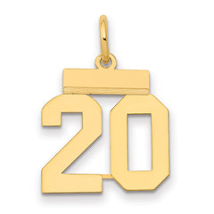 14k Small Polished Number 20 Charm