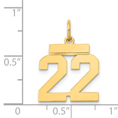 14K Small Polished Number 22 Charm
