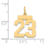 14K Gold Polished Number 23 Charm  Laser Cut, Small, Elegant Design