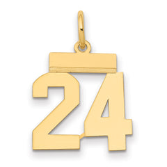 14k Small Polished Number 24 Charm