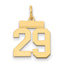 14k Small Polished Number 29 Charm