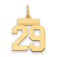 14k Small Polished Number 29 Charm