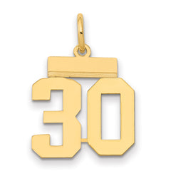 14k Small Polished Number 30 Charm
