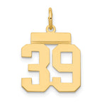 14k Small Polished Number 39 Charm
