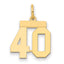 14k Small Polished Number 40 Charm