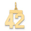 14k Small Polished Number 42 Charm