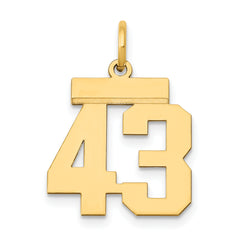 14k Small Polished Number 43 Charm