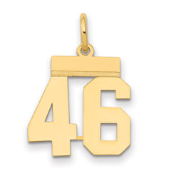 14k Small Polished Number 46 Charm