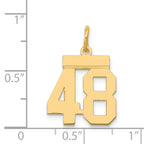 14K Gold Polished Number 48 Charm Laser Cut Small