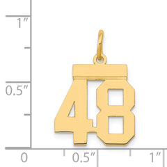 14K Gold Polished Number 48 Charm Laser Cut Small