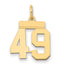 14k Small Polished Number 49 Charm