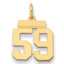 14k Small Polished Number 59 Charm