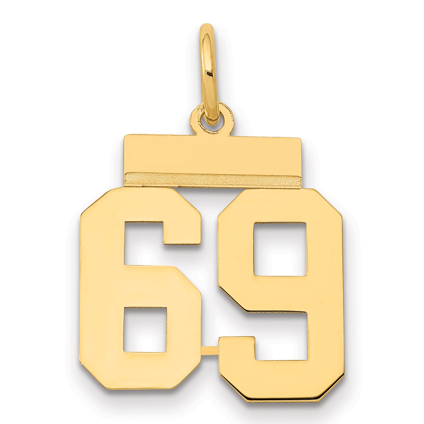 14k Small Polished Number 69 Charm Main image