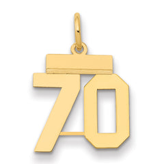 14k Small Polished Number 70 Charm