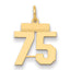 14k Small Polished Number 75 Charm