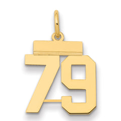 14k Small Polished Number 79 Charm
