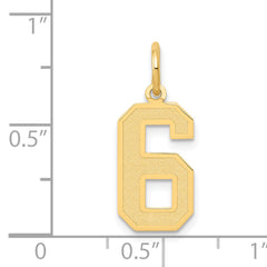 14k Medium Satin Number 6 Charm