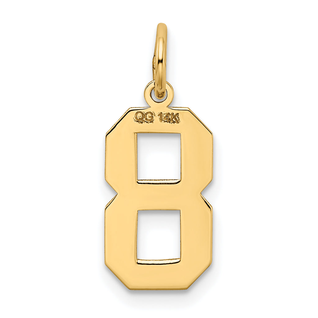 14K Gold Satin Number 8 Charm with Brushed Finish Medium