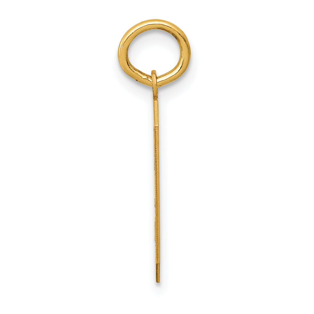 14k Medium Satin Number 9 Charm