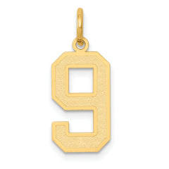 14k Medium Satin Number 9 Charm