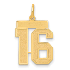 14k Medium Satin Number 16 Charm