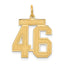 14k Medium Satin Number 46 Charm