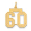14k Medium Satin Number 60 Charm