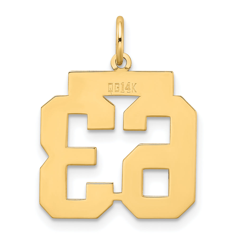 14K Gold Medium Satin Number 63 Charm with Brushed Finish