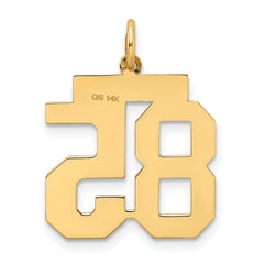 14K Gold Satin Finish Number 85 Charm with Brushed Texture