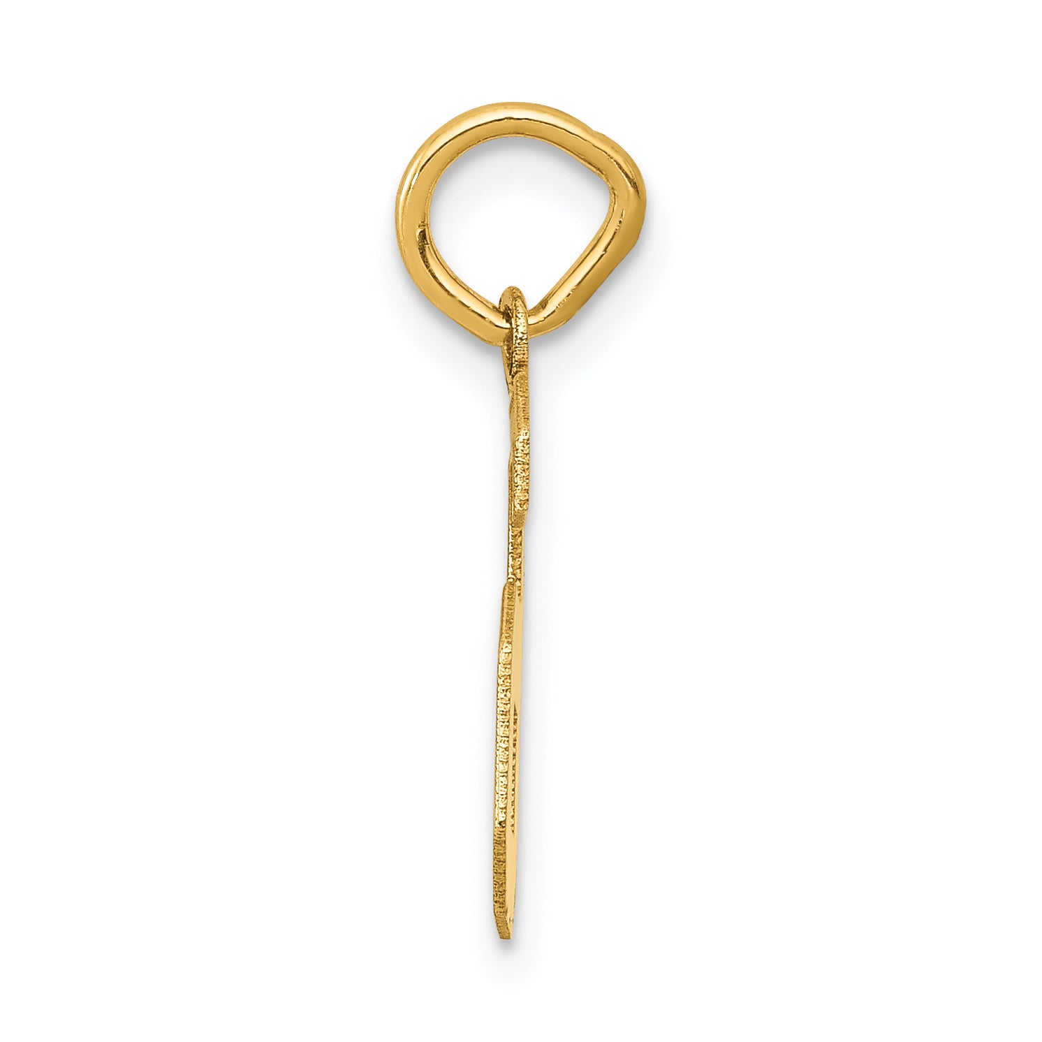 14K Gold Small Satin Number 6 Charm with Brushed Finish Secondary image