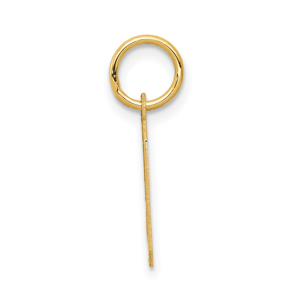 14K Gold Small Satin Number 9 Charm with Brushed Finish Crafted by Sophia Jewelers
