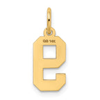 14K Gold Small Satin Number 9 Charm with Brushed Finish Crafted by Sophia Jewelers