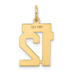 14K Gold Satin Number 12 Charm with Brushed Finish  Small & Elegant